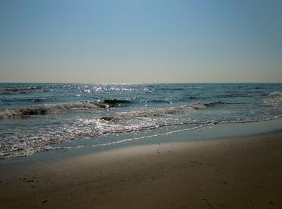 海, 海滩, 清晨的阳光, 夏季, 波罗地海, 波, 海岸