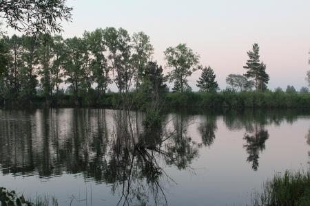 湖, 反思, 夏季, 俄罗斯, 河, 池塘, 镜面反射