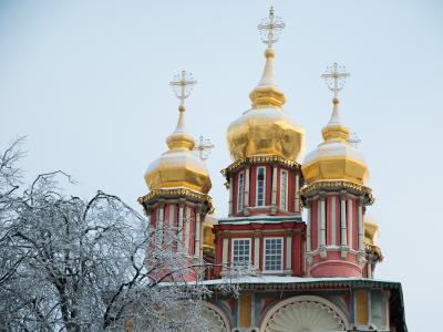 俄罗斯, 谢尔盖夫, 修道院, othodoxe, 炮楼, 冬天, 建筑
