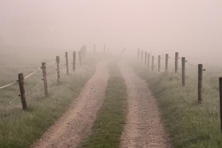 走了, 雾, 黎明, 无, 神秘, 神秘, 牧场围栏