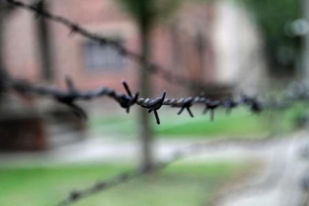 奥斯威辛集中营, 波兰, 战争, 营地, 纪念, 栅栏, 第二次世界大战