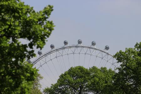 伦敦, noria, 伦敦眼, 吸引力, 树, 摩天轮, 游乐园