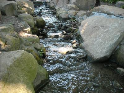 水, 流水, 溪, 巨石, 河岩石, 开采石头, 水道