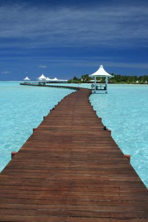 马尔代夫, 旅行, 印度洋, 海洋, 海滩, 热带, 水