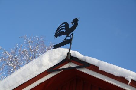 天气风向标, 公鸡, 雪, 冬天