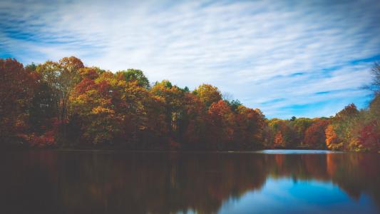 湖, 树木, 反思, 秋天, 秋天, 天空, 风景名胜
