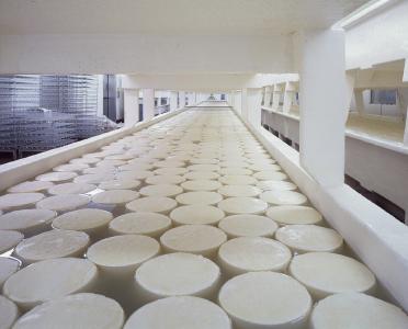 奶酪, 奶制品, 固化, 轮, 食品, 奶制品, 生产