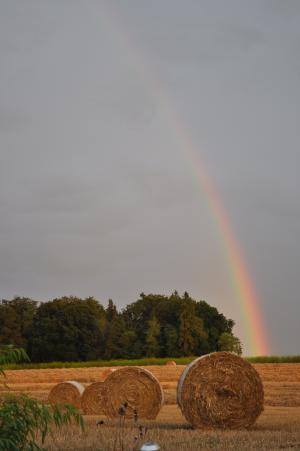 彩虹, 稻草, 农业, 卒, 景观, 收获, 干草捆
