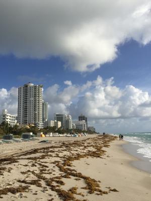 迈阿密海滩, 海滩, 佛罗里达州, 海洋, 天空, 度假, 沙子
