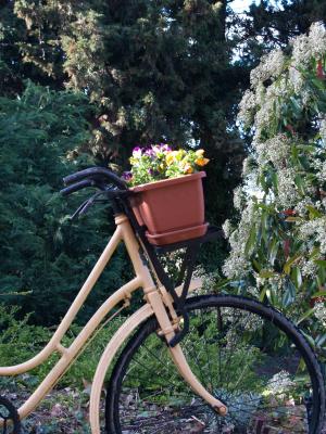 自行车, 花, 风景名胜, 自行车, 夏季, 购物篮, 快乐