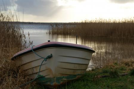 划艇, 湖, 景观, abendstimmung, 丹麦, 和平