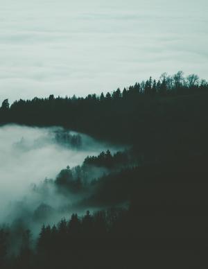 有雾, 高山景观, 自然, 雾, 山, 森林, 小山