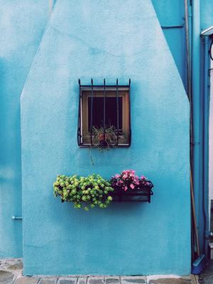 花, 购物篮, 花盆, 窗口, 酒吧, 蓝色, 墙上
