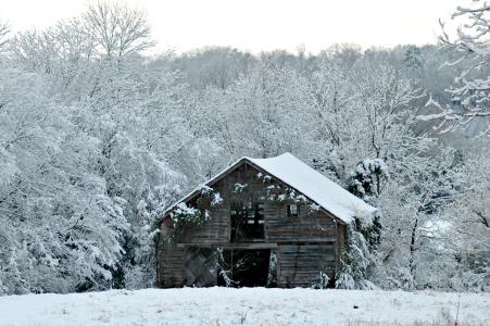 冬天, 雪, 自然, 木制, 谷仓