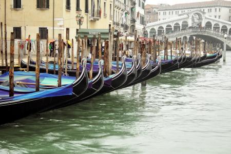 意大利, 威尼斯, 威尼斯, 大运河, 水, 吊船, 里亚托桥