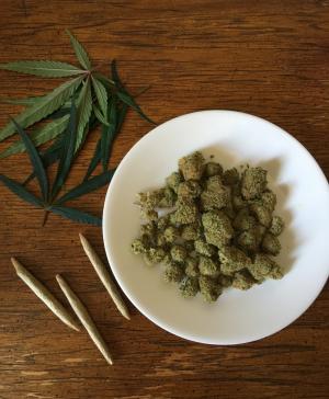 大麻, 大麻, 杂草, 药物, 大麻, 医学, 植物
