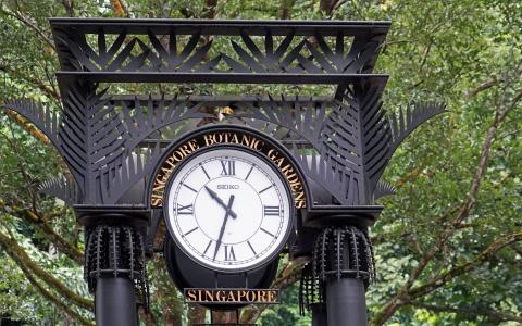 时钟, 植物园, 新加坡, 公园, 输入, 时间, 时间