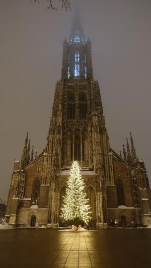 乌尔姆大教堂, 圣诞树, 照明, 圣诞节的时候, 晚上, 乌尔姆, 哥特式