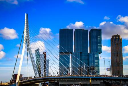 蓝色, 鹿特丹, 桥梁, 天空, 伊拉斯谟, 建筑, 桥-男人作结构