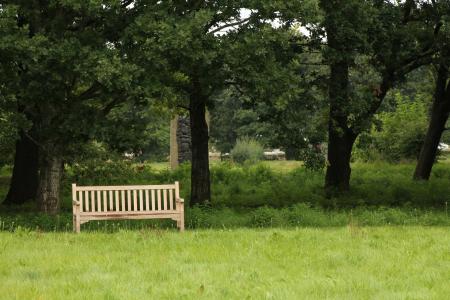 板凳, 自然, 户外, 夏季, 和平