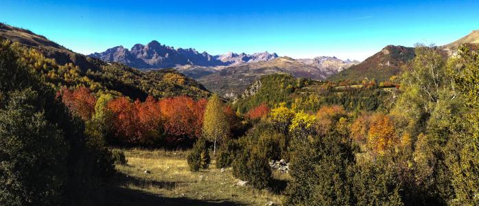 潘蒂科萨, 景观, 秋天, 自然, 森林, 韦斯卡, 高山