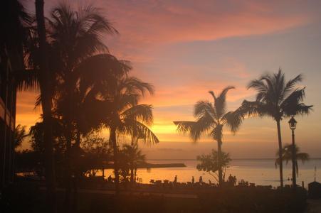 黎明在 jamaika, 海滩, 棕榈树, 沙子, 棕榈树, 树, 日落