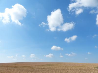 玉米田, 夏季, 云彩, 天空, 字段, 蓝色, 可耕