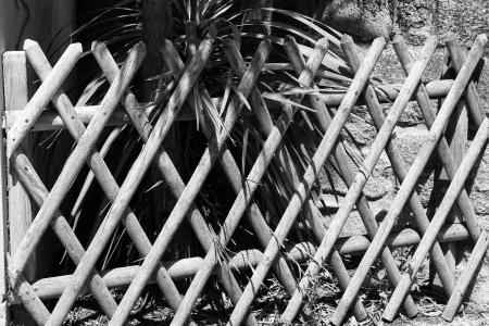 障碍, 竹, 保护, 黑色和白色, 木材