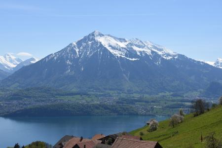 打喷嚏, 图恩湖, 伯尔尼高地, 图恩 hausberg, 瑞士, 湖