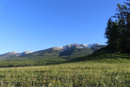草原, 雪山, 风景, 新疆