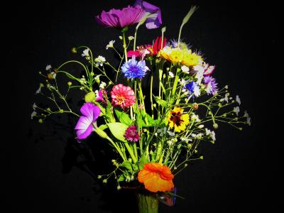 生日花束, 野花, 尖头花束, 花草甸, 花束, 旱金莲, 万寿菊