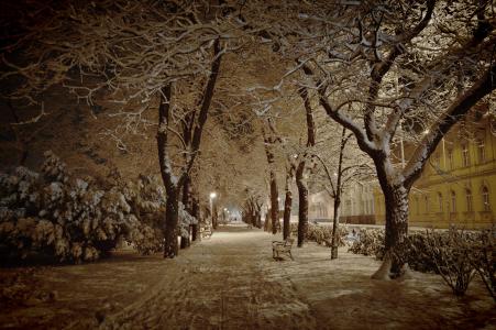 雪, 冬天, 1 月, 在晚上, 公园, székesfehérvár, zichy 公园