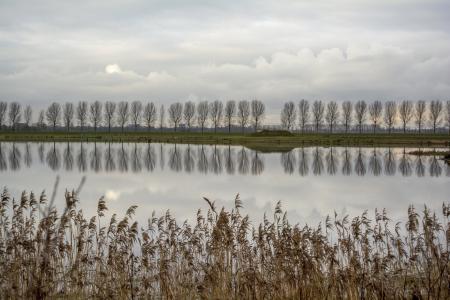 景观, 圩, 荷兰风景, 自然, polderroad, 云彩