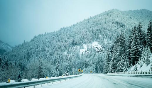 自然, 雪, 冬天, 树木, 伍兹, 森林, 道路