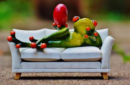 青蛙, 爱, 沙发, 心, 图, 有趣, 可爱