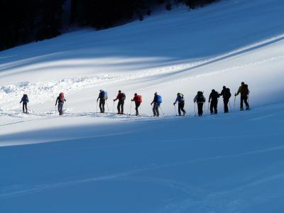 越野滑雪, 冬日的远行, 徒步旅行, 冬天, 感冒, 运行, 上升