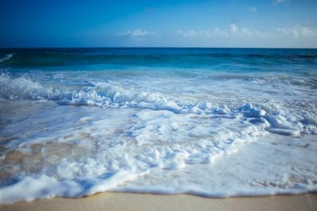 海边, 白天, 海滩, 沙子, 海洋, 海, 波