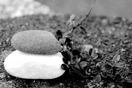 石头, 冥想, 平衡, 弛豫, gartendeko, 花园设计, 休息