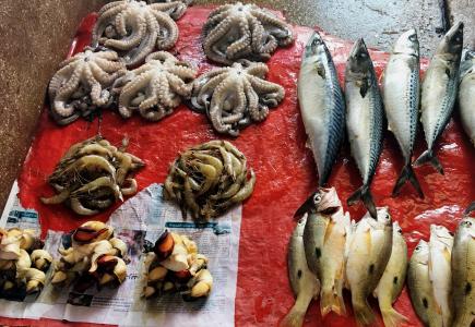 鱼市场, 鱼, 海鲜, 新鲜, 市场, 鱼, 抓到