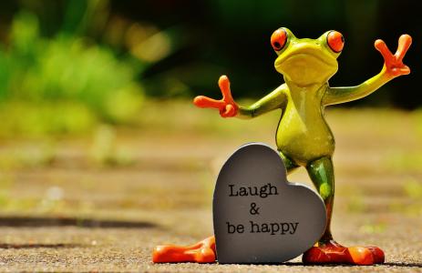 青蛙, 有趣, 笑, 性格开朗, 快乐, 积极, 微笑