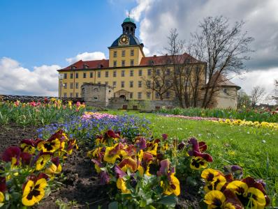 莫里茨城堡, zeitz, 萨克森-安哈尔特, 德国, 城堡, 花园酒店, moritzburg 的景点