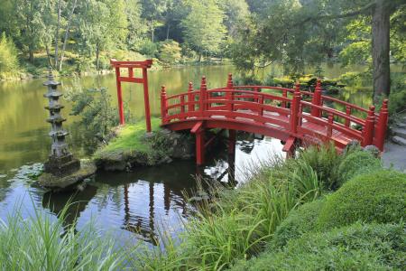 花园, 桥梁, 日本花园, 红桥, 法国, 母马, 水