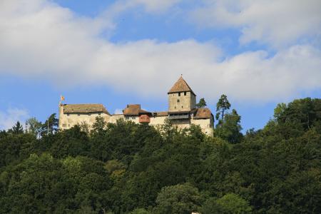 城堡, 堡垒, 瑞士, 欧洲