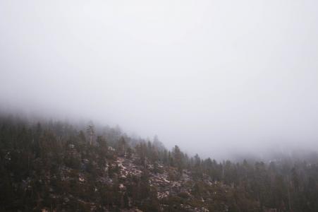 山, 封面, 雾, 自然, 山脉, 边坡, 树木