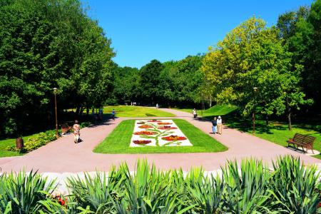 公园, 绿色, 克拉约瓦, 植物园, 花, 人, 步行