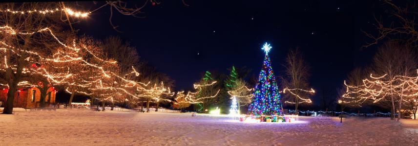 圣诞小镇, 圣诞树, 冬天, 假日, 赛季, 晚上, 村庄