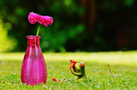 花瓶, 花, 青蛙, 有趣, 可爱, 甜, 草甸