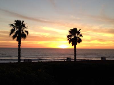 墨西哥, 棕榈树, 日落, 海洋, 海滩