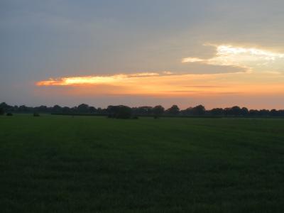 日落, 牧场, 晚上, vista, 荷兰