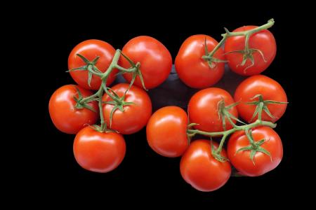 西红柿, 布什西红柿, 食品, 红色, 弗里施